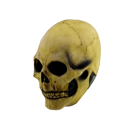 Máscara de Bone Skull