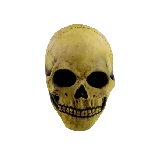 Máscara de Bone Skull