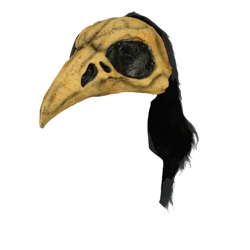 Casco de Crow Bird