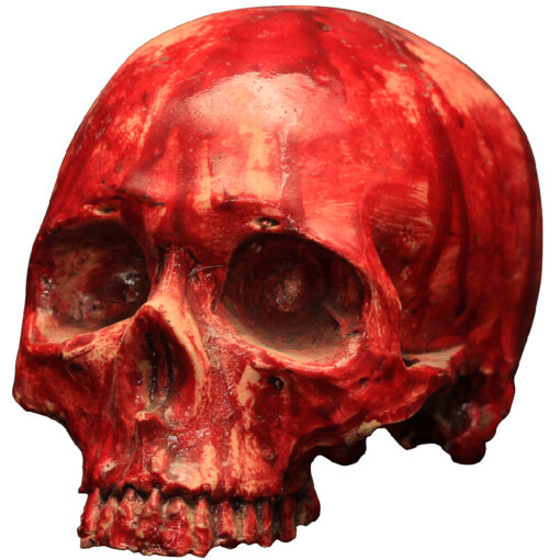 Bloodly Resin Skull