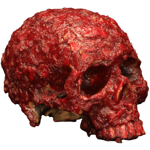Blood Scab Resin Skull