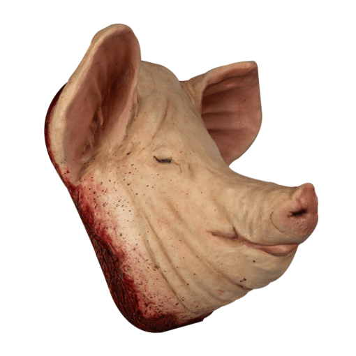 Pig head