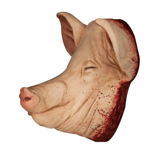 Pig head