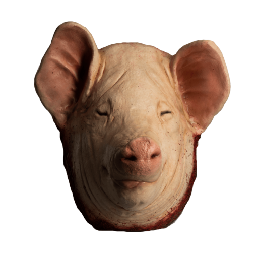 Pig head