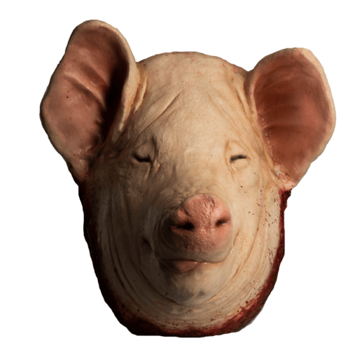 Pig head