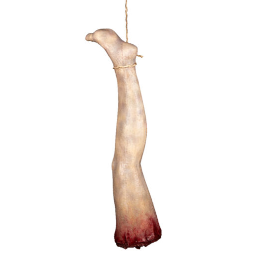 Severed Leg Prop