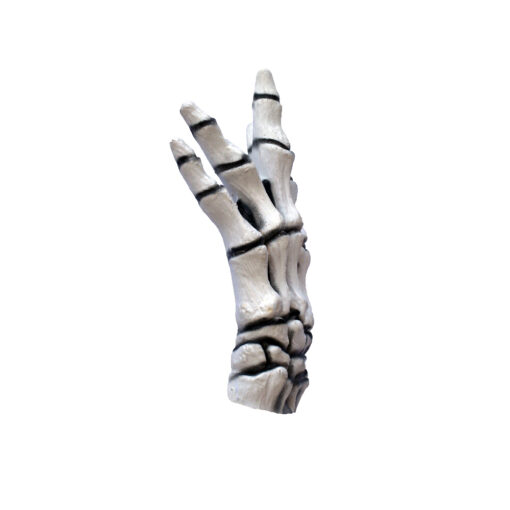 Junior Skeleton hands white