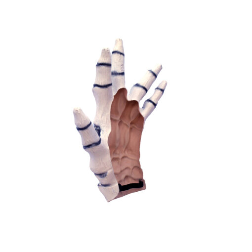 Junior Skeleton hands white