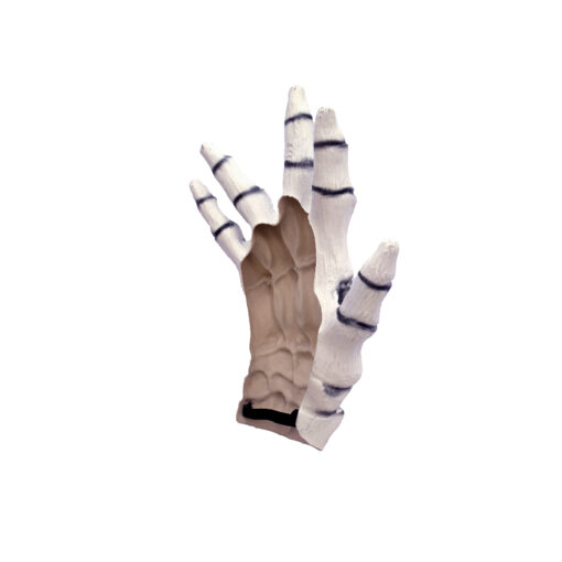 Junior Skeleton hands white