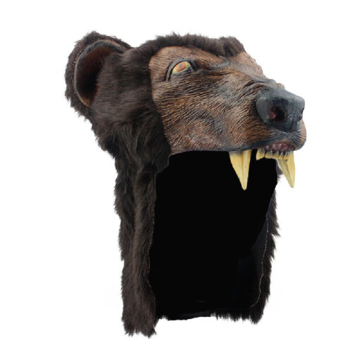 Casco de brown bear