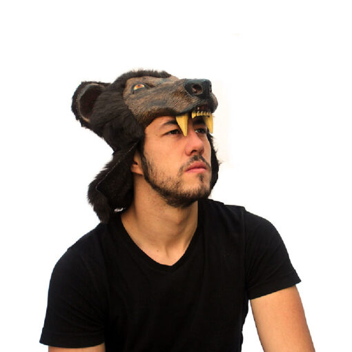 Casco de brown bear