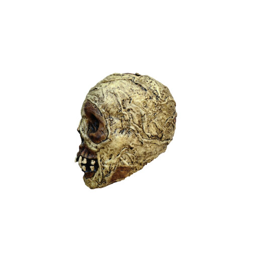 Mummy Skull