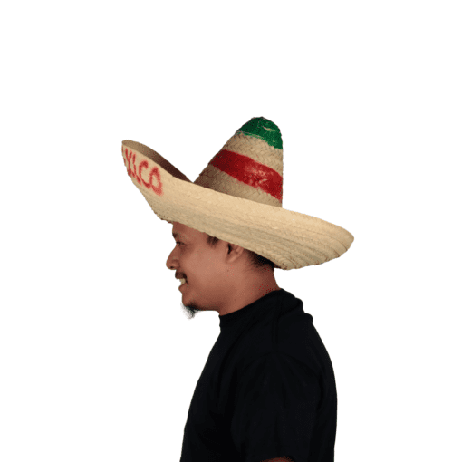 Sombrero de Palma Viva México