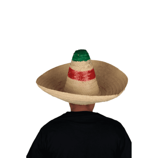 Sombrero de Palma Viva México