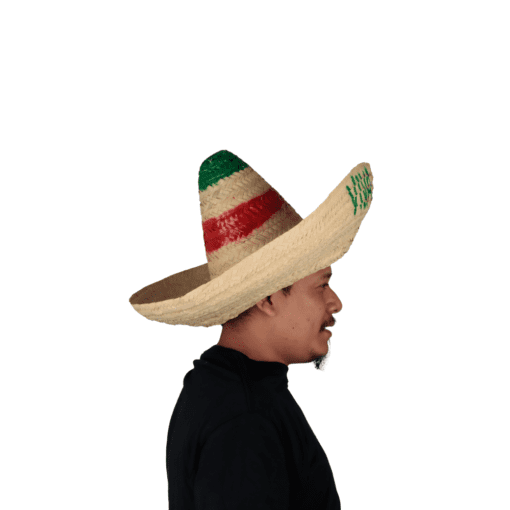 Sombrero de Palma Viva México